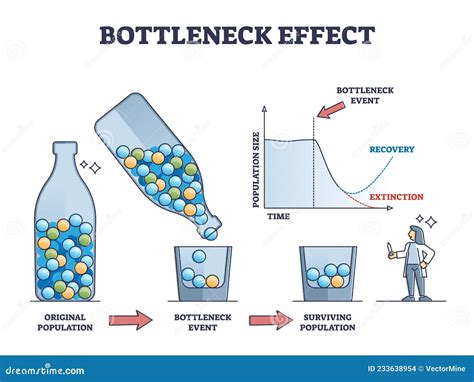 Bottleneck Effect On Genetic Drift And Population Impact Outline Diagram Vector Illustration ...