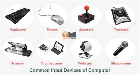 What is the purpose of an input device?