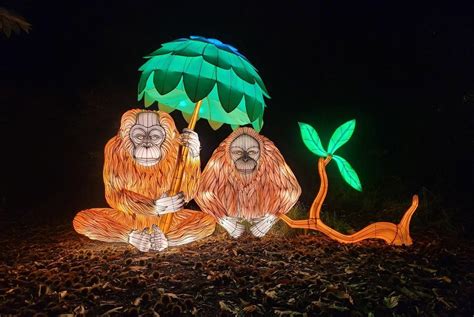 WildLanterns Dazzles at Seattle’s Woodland Park Zoo | ParentMap