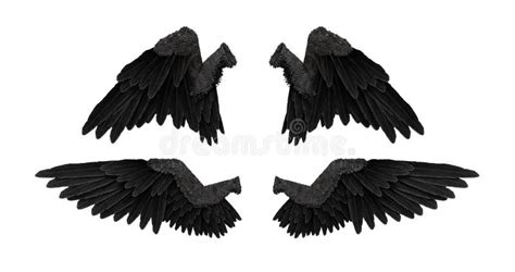 3D Render Black Angel Wings with on an White Background Stock ...