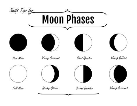 Moon Phases Chart Download Printable PDF | Templateroller