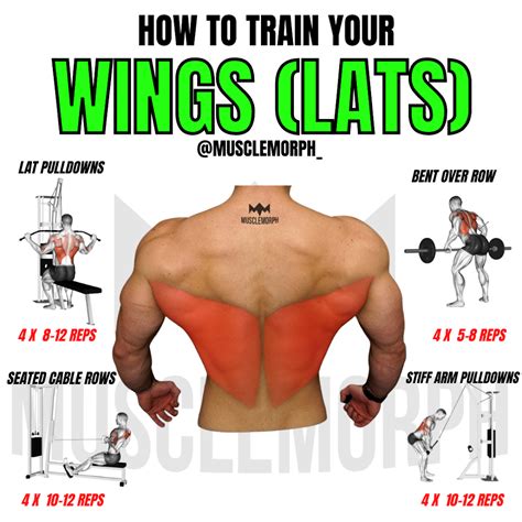 GET A WIDE BACK WORKOUT | Back workout bodybuilding, Wings workout ...