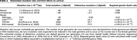 Germline mutation rates and the long-term phenotypic effects of ...