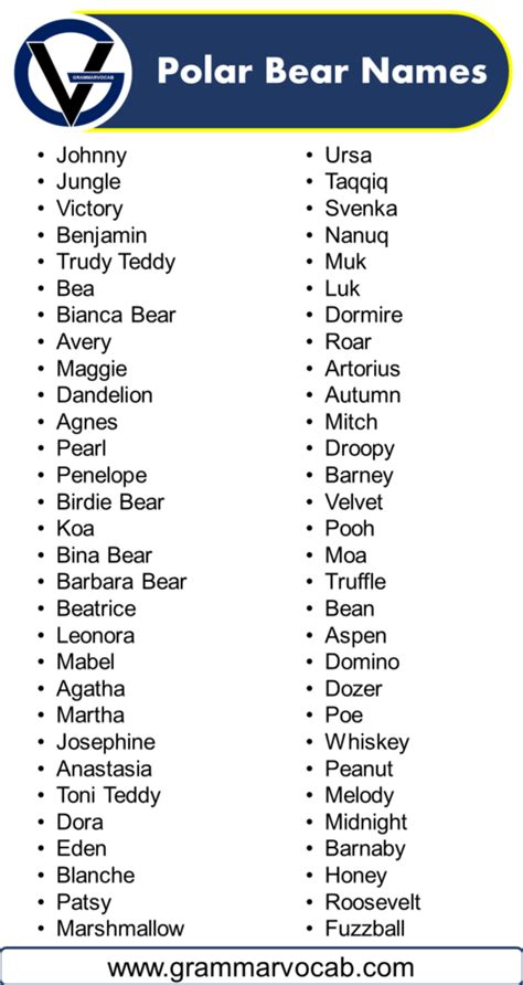 Polar Bear Names - GrammarVocab