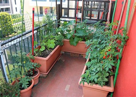 20+ Incredible Vegetable Garden Ideas – 2000 Daily