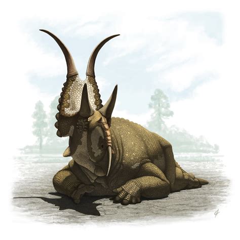 Love in the Time of Chasmosaurs: Diabloceratops eatoni, sitting pretty