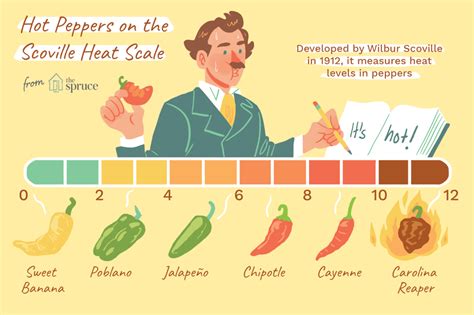 Learn the scale peppers like poblano, jalapeño, or habanero are rated ...