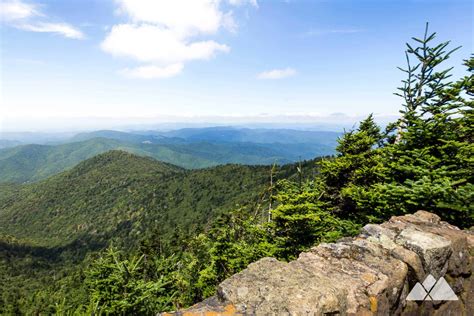 Roan High Bluff: hiking the Cloudland Trail at Roan Mountain