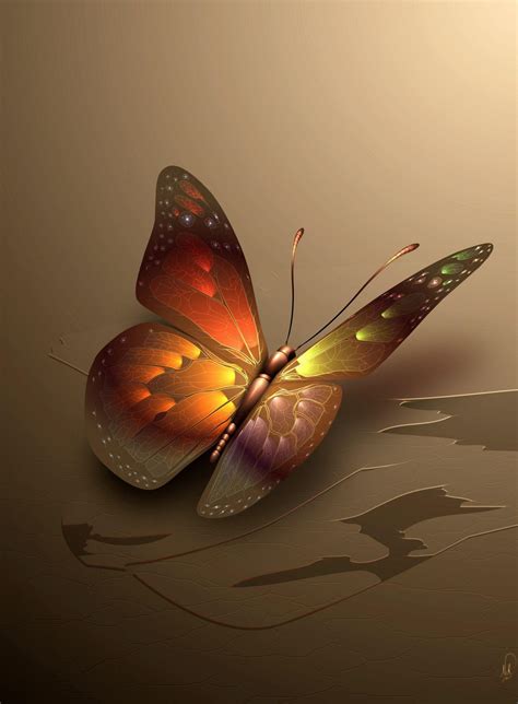 Autumn Butterflies Wallpapers - Top Free Autumn Butterflies Backgrounds ...