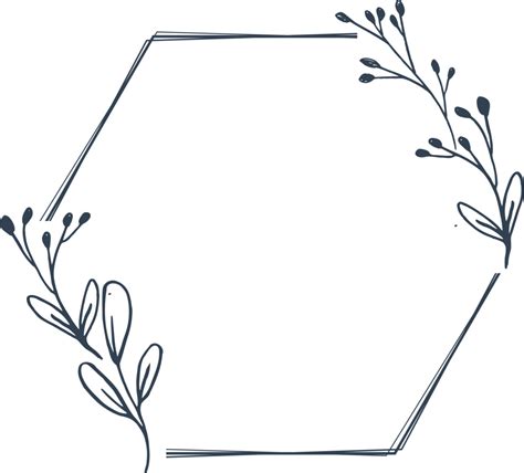 Minimalist floral frame with hand drawn leaf and shape simple floral border 20027911 PNG