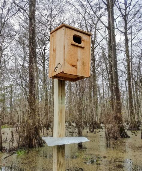 Bundle Wood Duck Nesting Boxes Handcrafted Cedar Birdhouse - Etsy