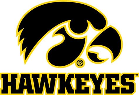 University of Iowa Wall Decals | Hawkeyes Tigerhawk multicolored