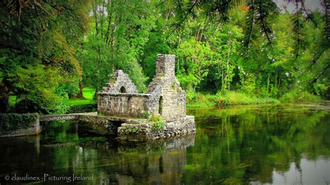 Picturing Ireland : Magical Places: Cong Abbey, Co. Mayo