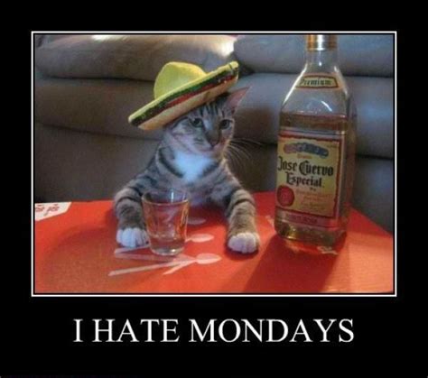 I Hate Mondays Pictures, Photos, and Images for Facebook, Tumblr ...