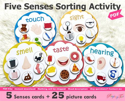 Five Senses Sorting Activity Printable, 5 Senses Sorting, Homeschool Resource, Busy Bags ...