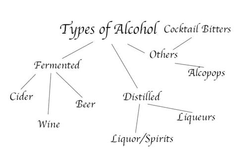 The Different Types of Alcohol — A Comprehensive Guide - Crafty Bartending