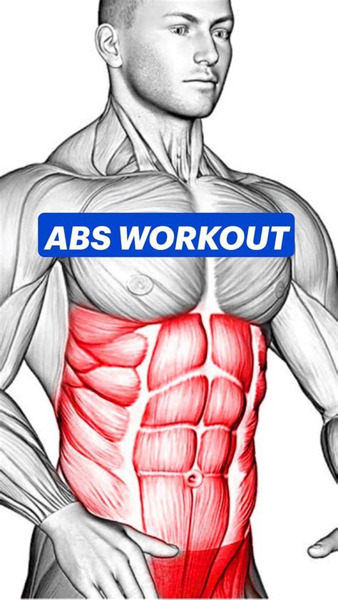 ABS WORKOUT | Abs workout, Abs and cardio workout, Abs workout video