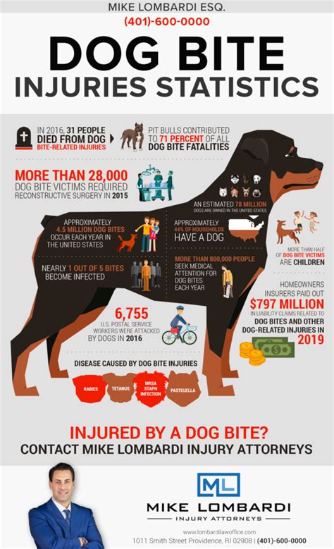 Dog Bite Injuries Statistics: Mike Lombardi Attorneys