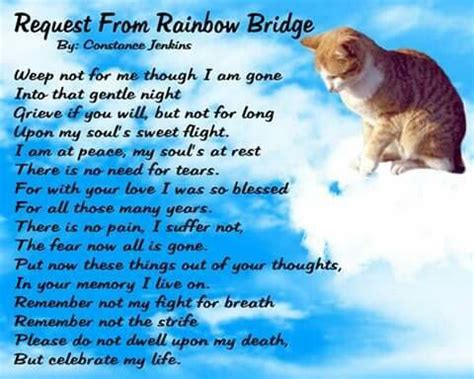 Pin by MJ Ama 💚 on Love meow | Rainbow bridge cat, Rainbow bridge, Pet poems