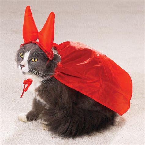 Cute and Funny Cat Halloween Costumes - Gallery | eBaum's World