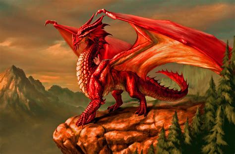 Red Dragon | Dragon images, Dragon pictures, Fantasy dragon