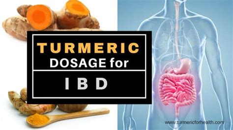 Turmeric Dosage For Inflammatory Bowel Disease