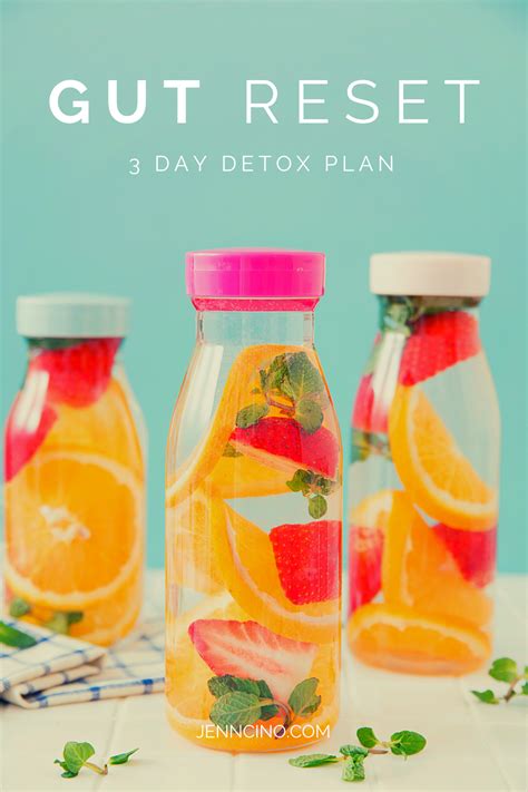 Gut Detox and Meal Plan | Gut detox, Digestion detox, Gut reset