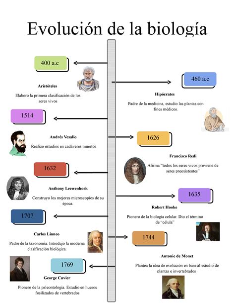 Linea Del Tiempo Evolucion De La Biologia Mind Map Reverasite | Porn Sex Picture