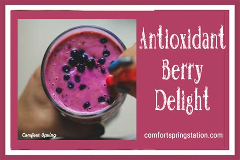 Antioxidant Berry Delight Smoothie – Comfort Spring