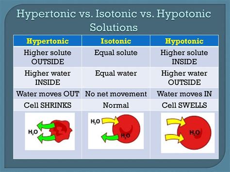 Tonicity | Hypotonic, Hyertonic & Isotonic Solutions | Nursing school ...