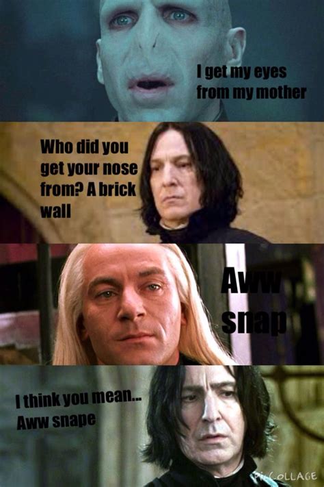 Funny Harry Potter Memes Harry Potter Puns Harry Pott - vrogue.co