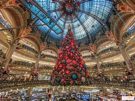 Paris Galeries Lafayette Christmas Windows and tree 2019 - Pictures and ...