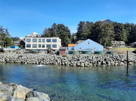 Sitka Sound Science Center | Salmon Hatchery, Aquarium,… | ALASKA.ORG