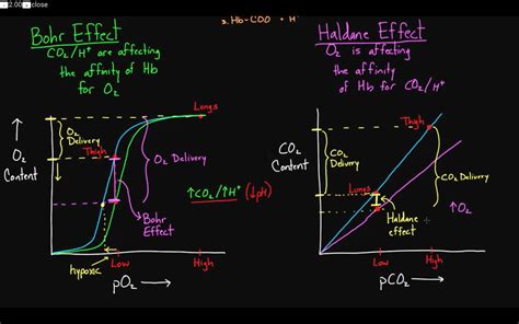 Bohr Effect and Haldane effect for blood? : r/Mcat