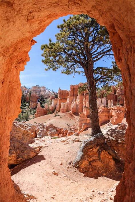 10 Best Hikes in Bryce Canyon National Park | National Parks Experience