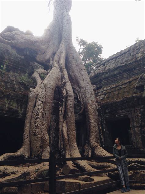 Ta Prohm (Tomb Raider) | Tomb raider, Tomb, Lion sculpture