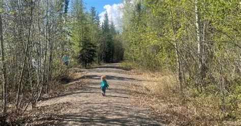 5 Easy, Kid Friendly Hikes Around Fairbanks, Alaska - Borealis Mom