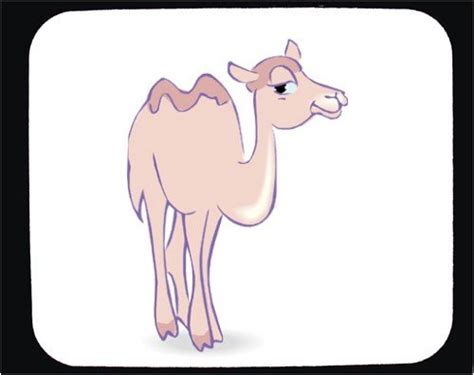 Cartoon Desert Animals - Fun and Educational