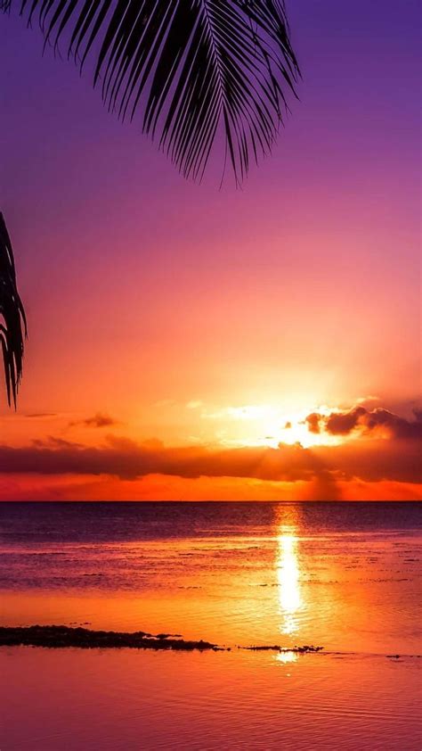 the sun is setting over the ocean with palm trees