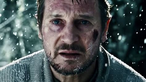Liam Neeson's Best Action Movie Is The Grey