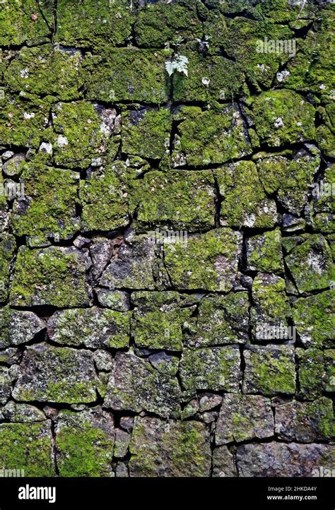 Stone wall with moss background Stock Photo - Alamy