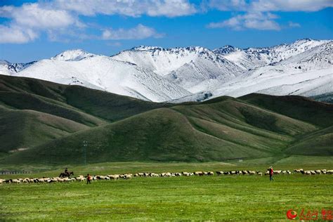 InPics: China's 2nd largest grassland the Bayanbulak Grassland at the foot of Tianshan Mountain ...