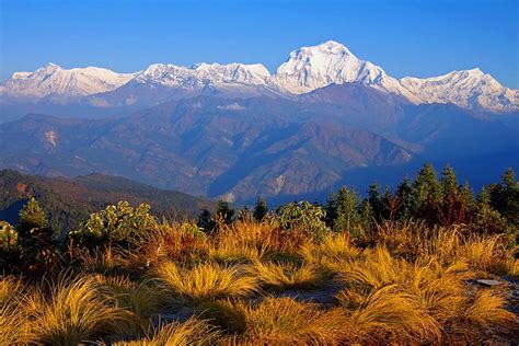 Poon Hill Sunrise Trek, Ghorepani Poon Hill Trekking, Ghorepani Treks Price