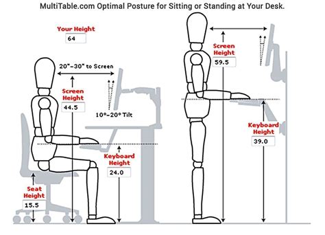 Ergonomic Desk Standing Height | Standing desk ergonomics, Desk height, Desk dimensions