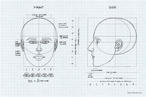 Draw Speak: Head Anatomy, Proportion, and Design