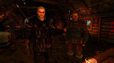 Best mods the witcher 2 - lenabros