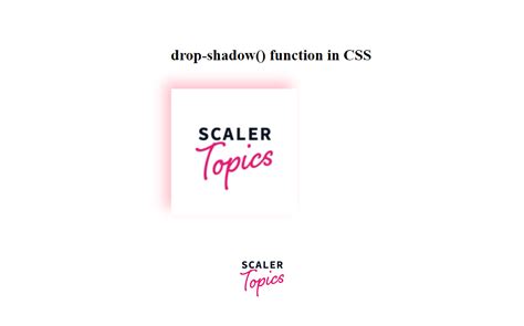 How to add a Drop Shadow to an Image with CSS? - Scaler Topics