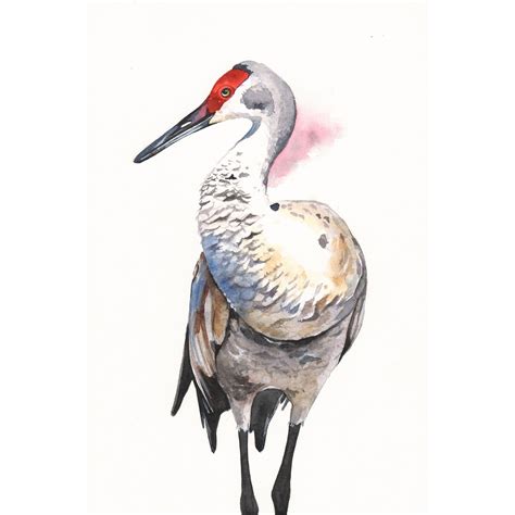 Crane Painting wildlife bird art print of watercolor