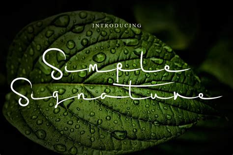 simple signature – Free Fonts, Script & Handwritten Fonts | pixelify.net