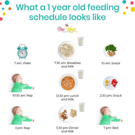 What a 1-Year-Old Feeding Schedule Looks Like | Baby feeding chart introducing solids, Feeding ...